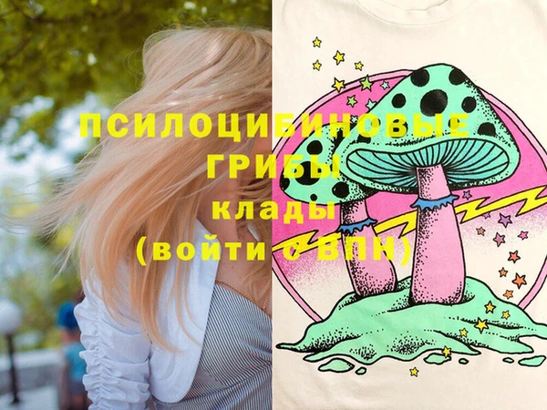 стафф Михайлов