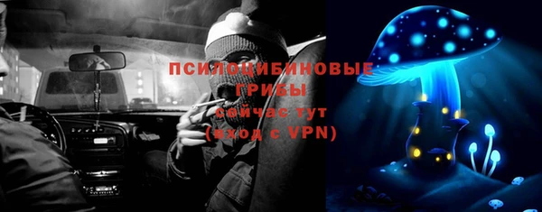 стафф Михайлов