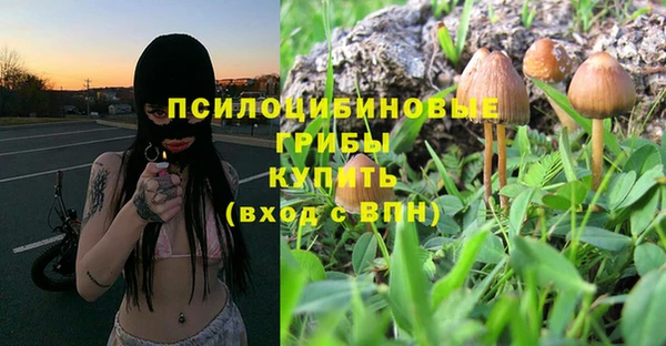 стафф Михайлов