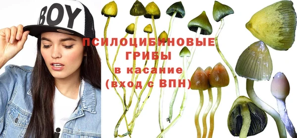 стафф Михайлов