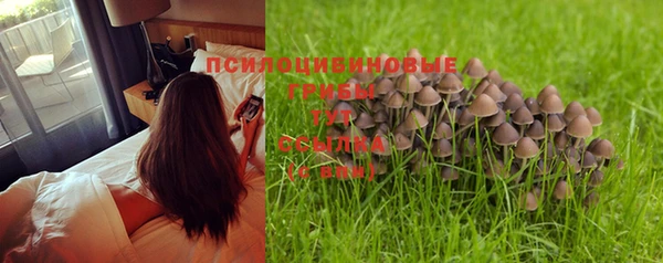 стафф Михайлов