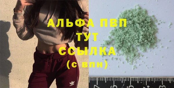 стафф Михайлов