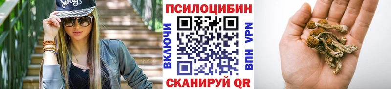 Галлюциногенные грибы Magic Shrooms  дарнет шоп  Братск 
